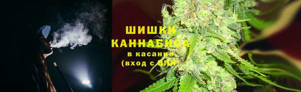 PSILOCYBIN Абаза