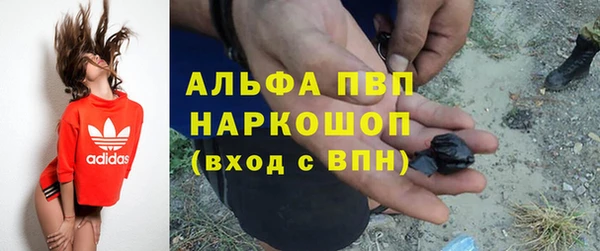 PSILOCYBIN Абаза