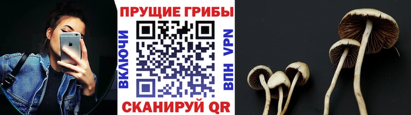Галлюциногенные грибы ЛСД  Зея 